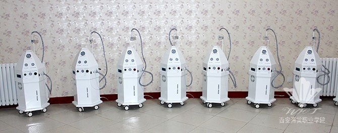 60个美容推车